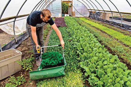 Urban Backyard Farming for Profit Image